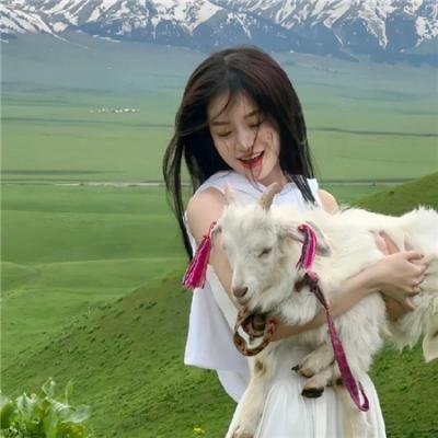 刑事侦缉档案粤语